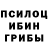 Псилоцибиновые грибы Magic Shrooms Ian Meyer