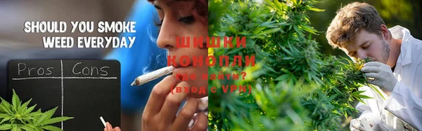 стафф Майский